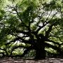 Charleston, SC, USA
