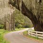 Charleston, SC, USA