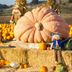 Annet