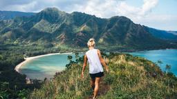 Finn billige fly til Hawaii