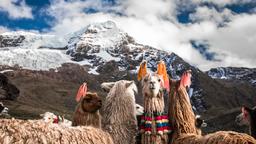 Cuzco Hotelloversikt