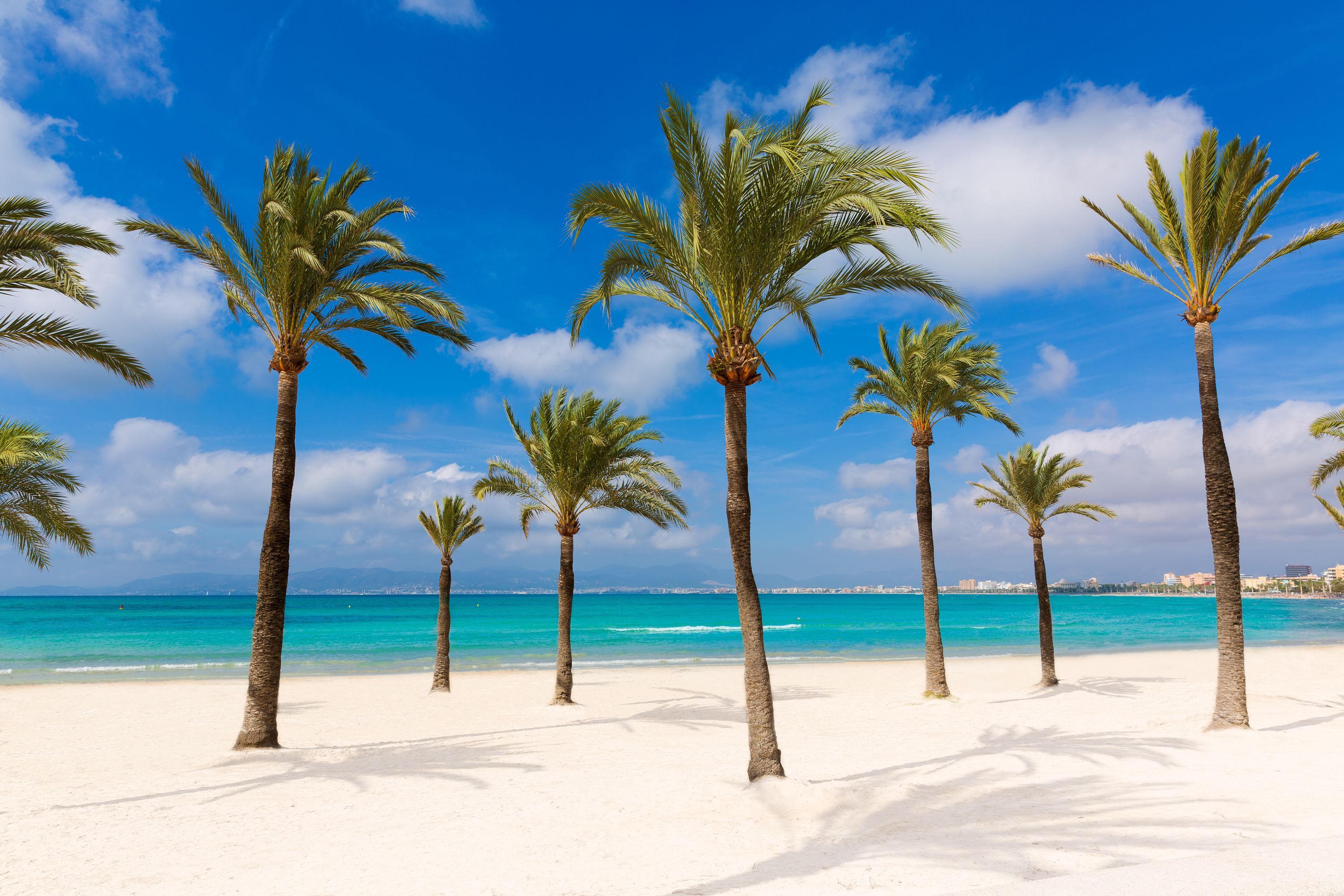 Hoteller i El Arenal