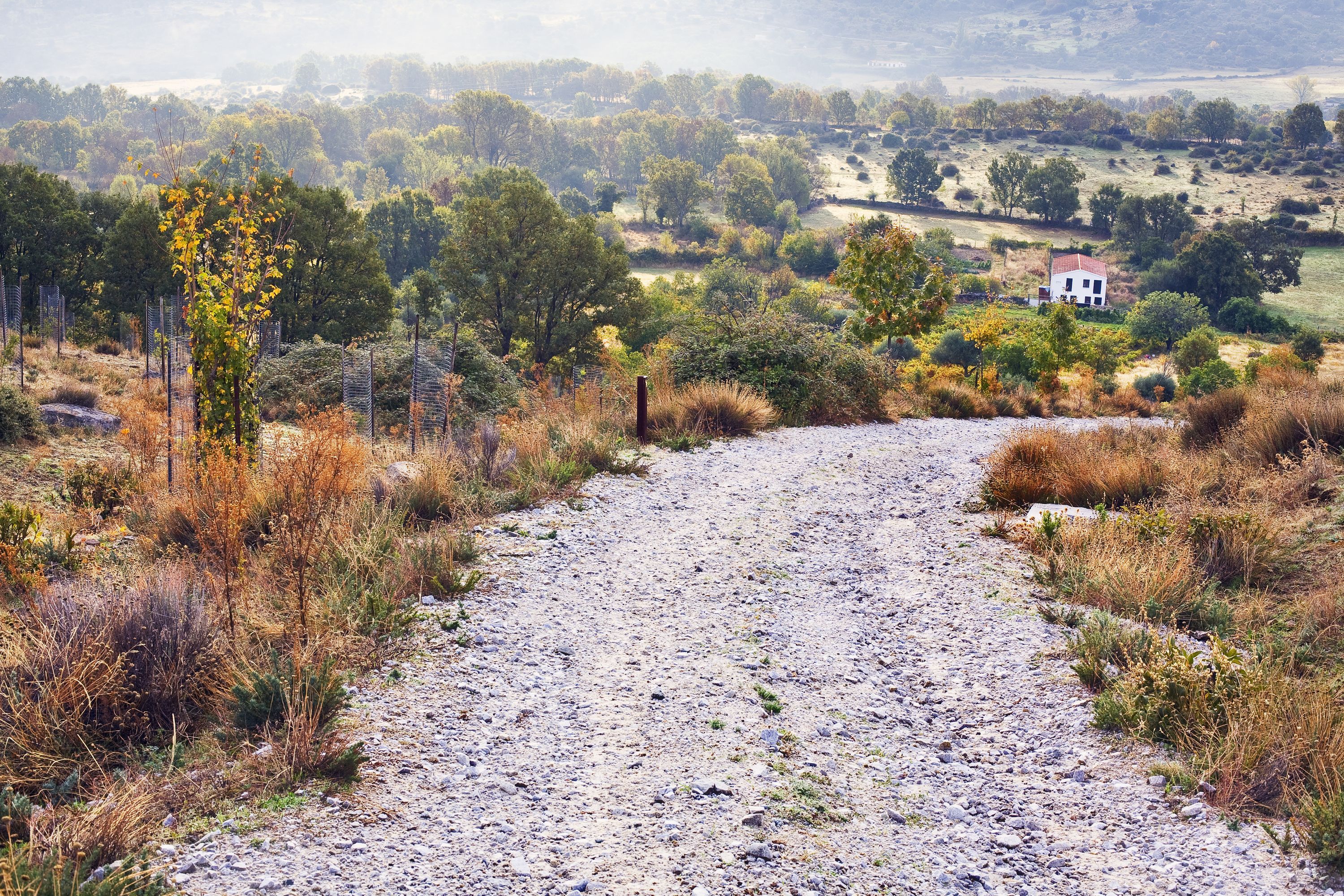 Leiebiler i Las Rozas