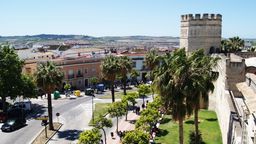 Finn billige flyvninger til Jerez de la Frontera