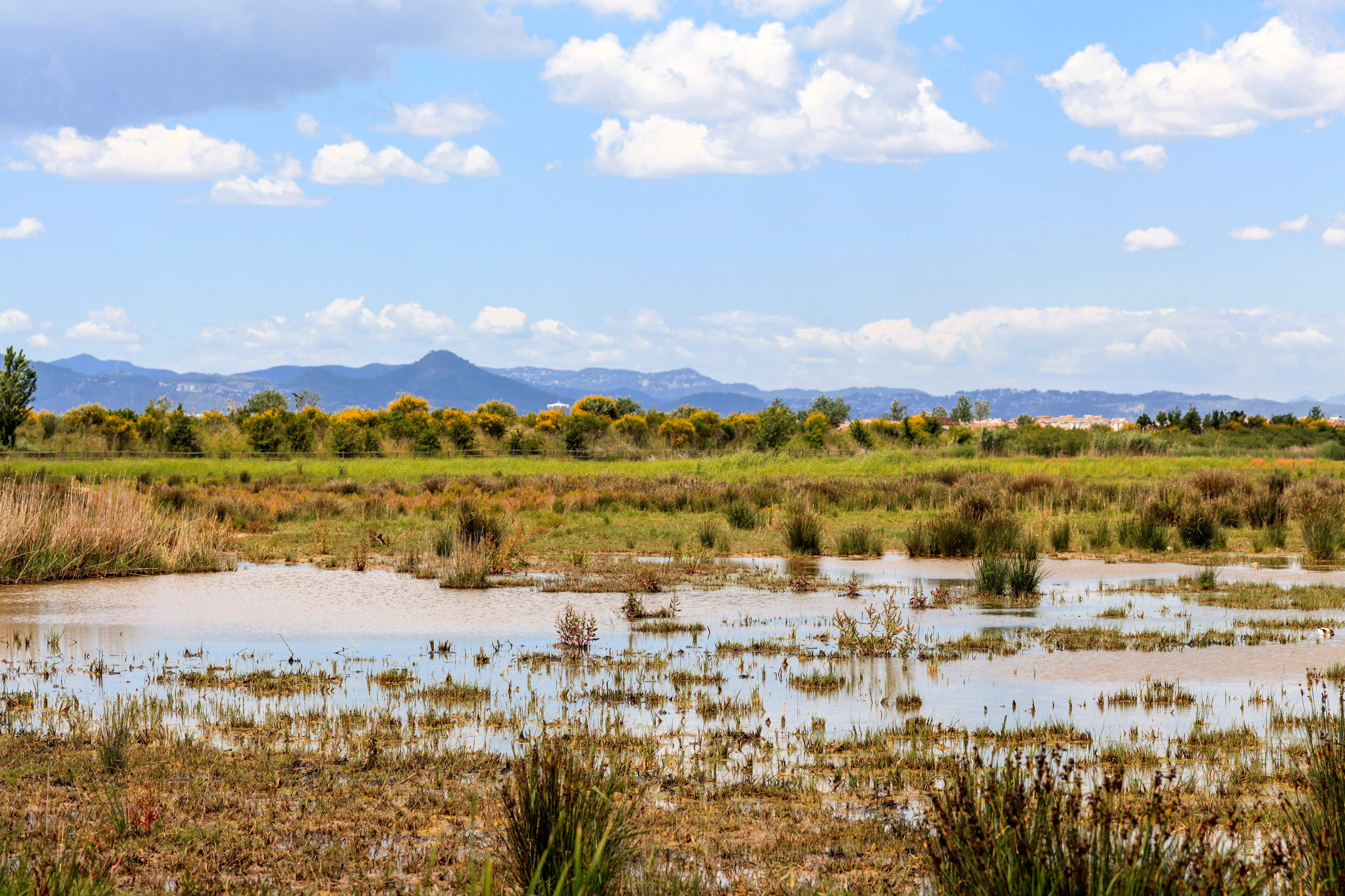 Leiebiler i El Prat de Llobregat