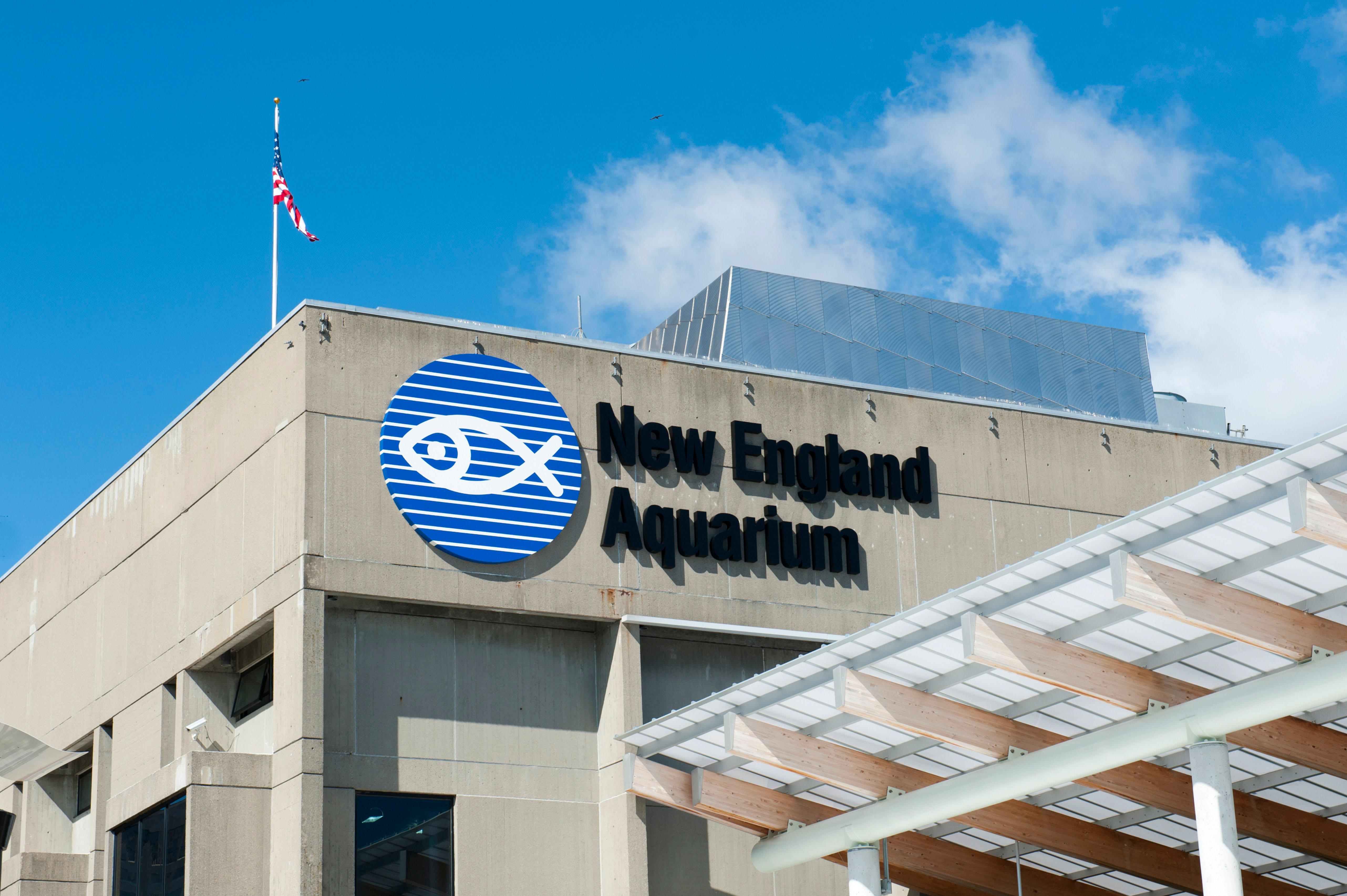 Hoteller i nærheten av New England Aquarium (Boston) KAYAK Hoteller i nærheten av Boston City Hall (Boston) KAYAK