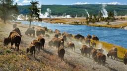 Ferieboliger i Yellowstone Nasjonalpark