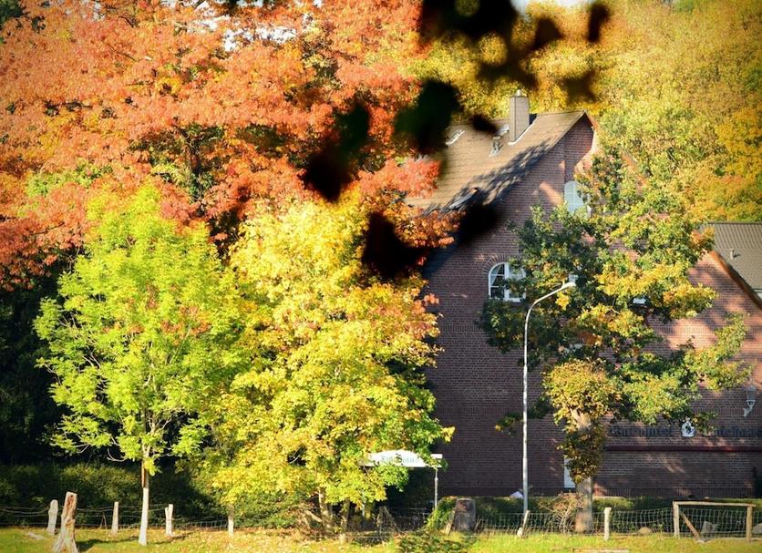 Utsikt Foto