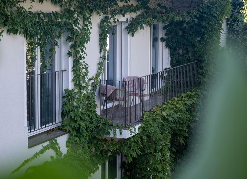Utsikt Foto