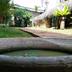 Annet