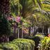 Utsikt