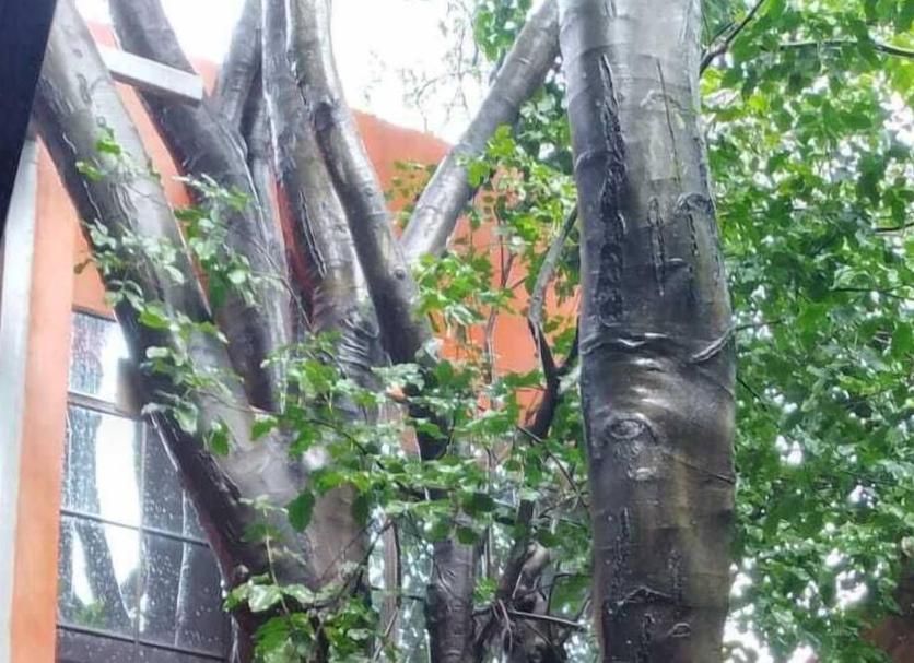 Utsikt Foto