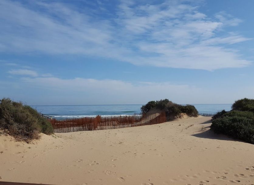 Strand Foto