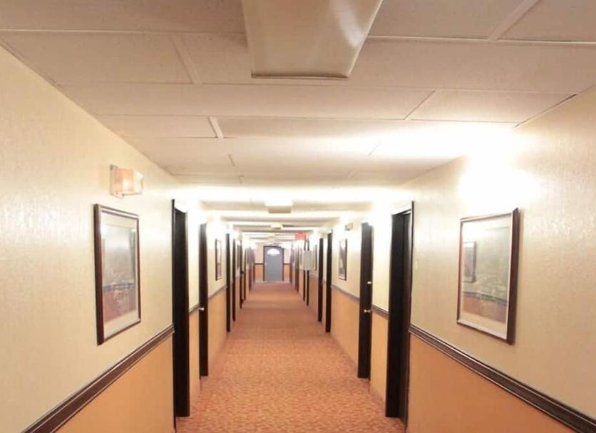 Hall Foto