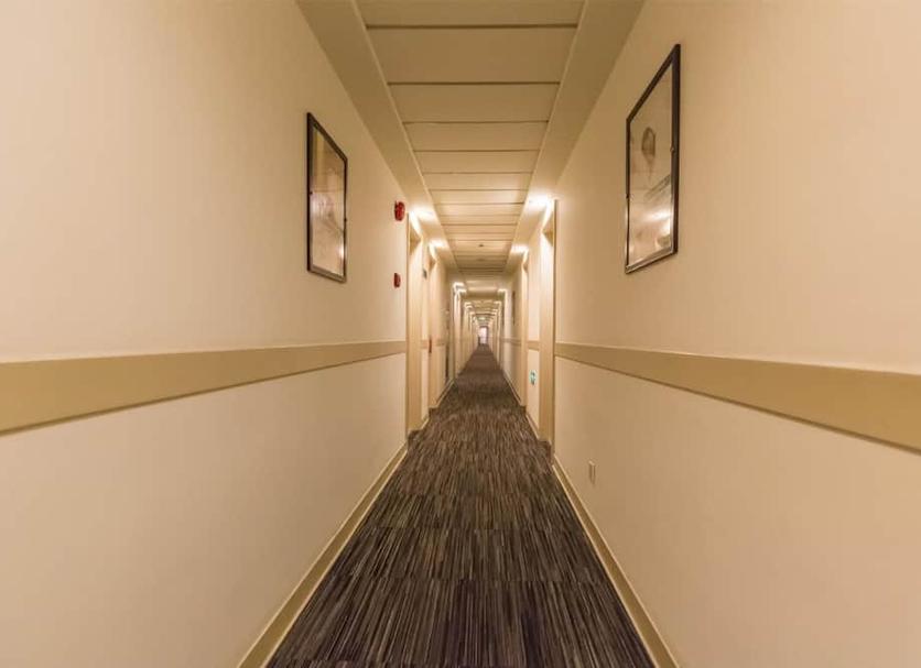 Hall Foto