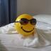 Annet