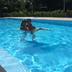 Annet