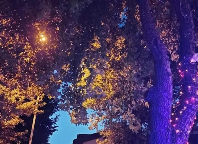Utsikt Foto