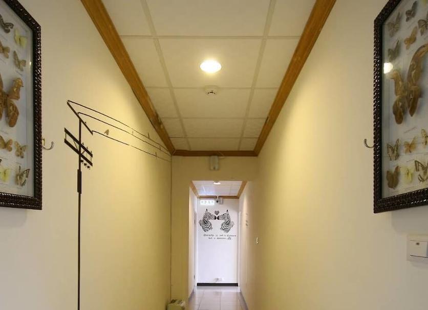 Hall Foto