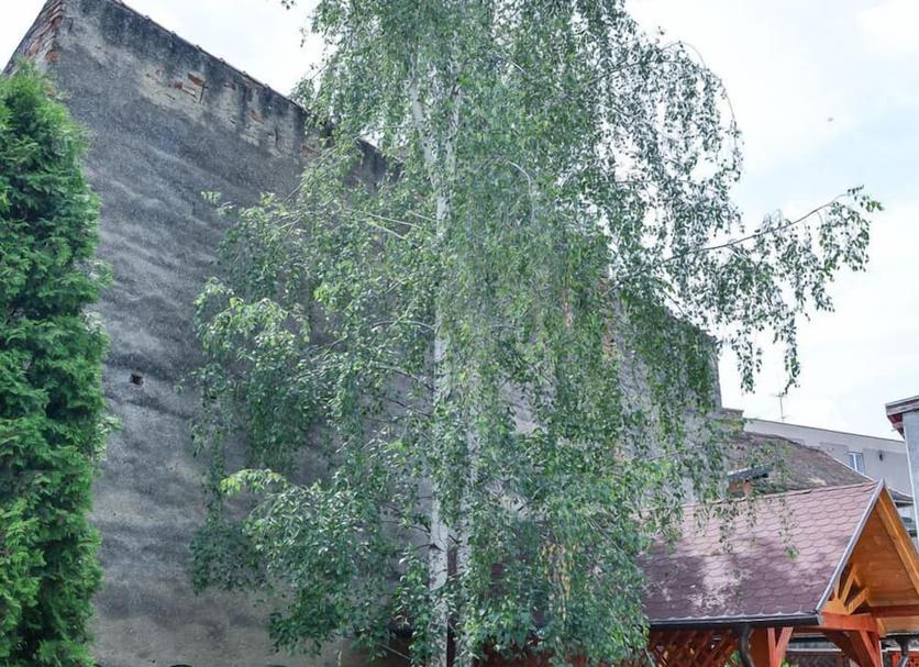 Utsikt Foto