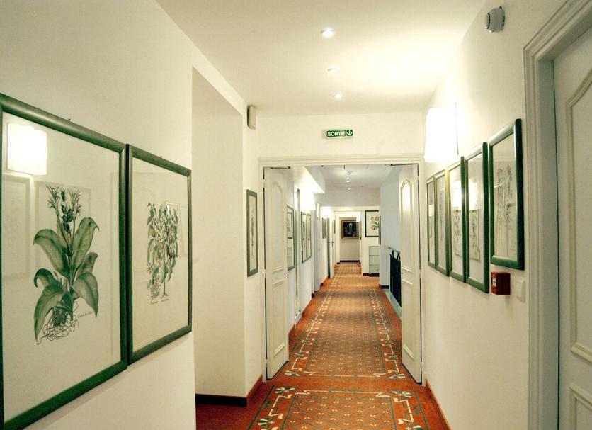 Hall Foto