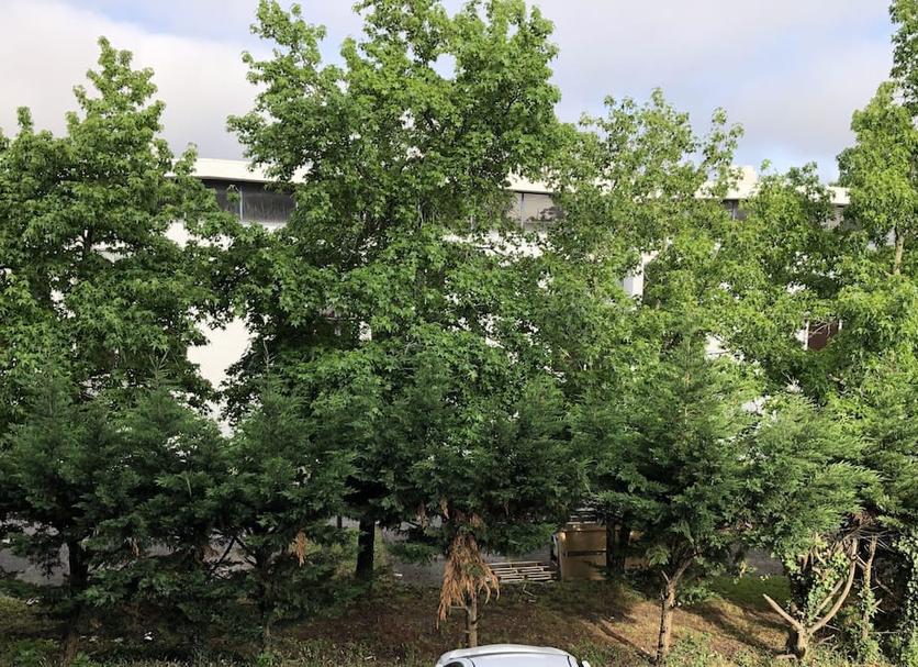 Utsikt Foto
