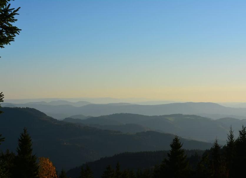 Utsikt Foto