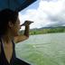 Annet