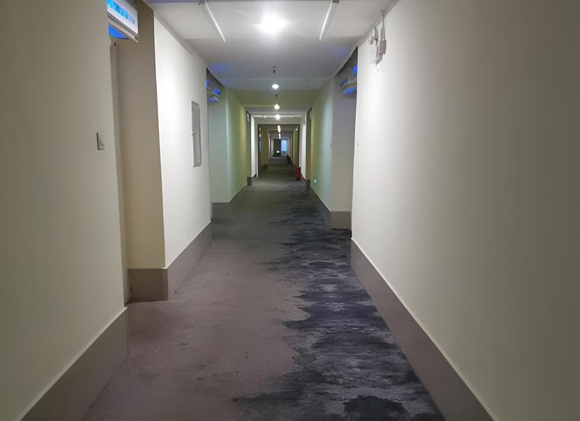Hall Foto