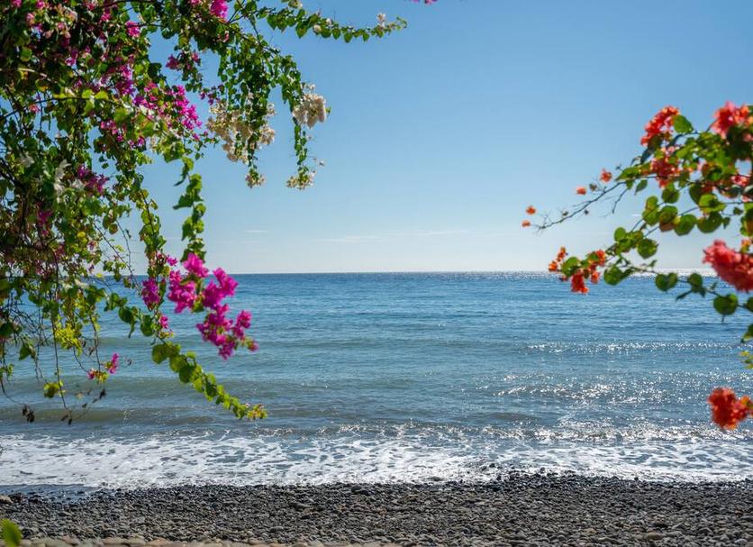 Strand Foto