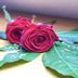 Annet