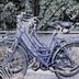 Annet