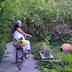 Annet