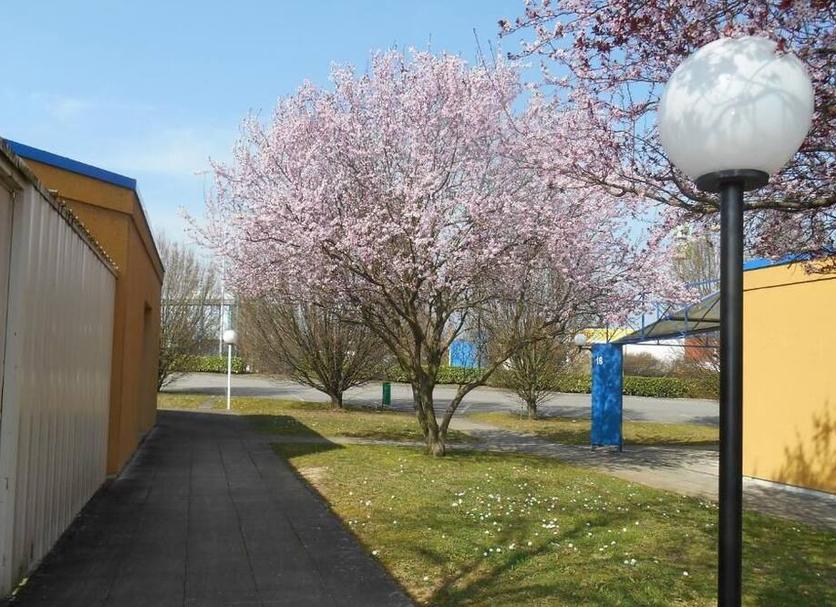 Utsikt Foto