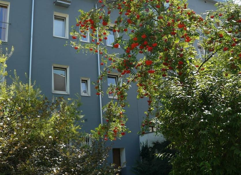 Utsikt Foto