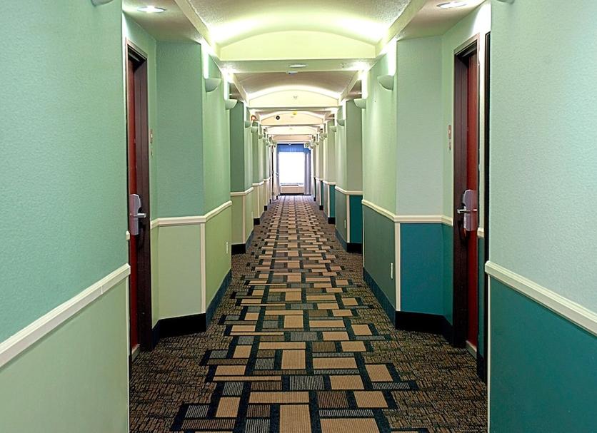 Hall Foto