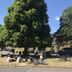 Annet