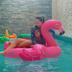 Annet