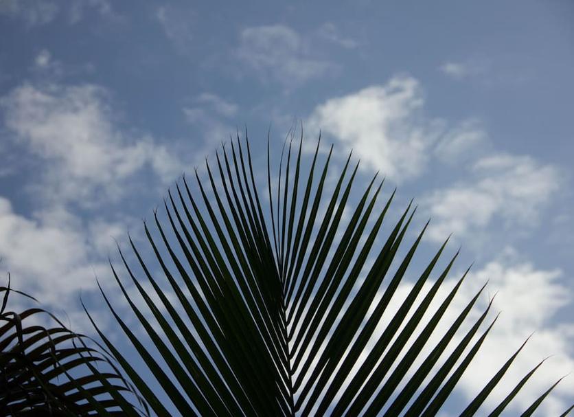 Annet Foto