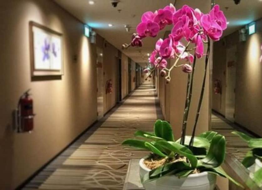 Hall Foto