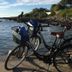 Annet