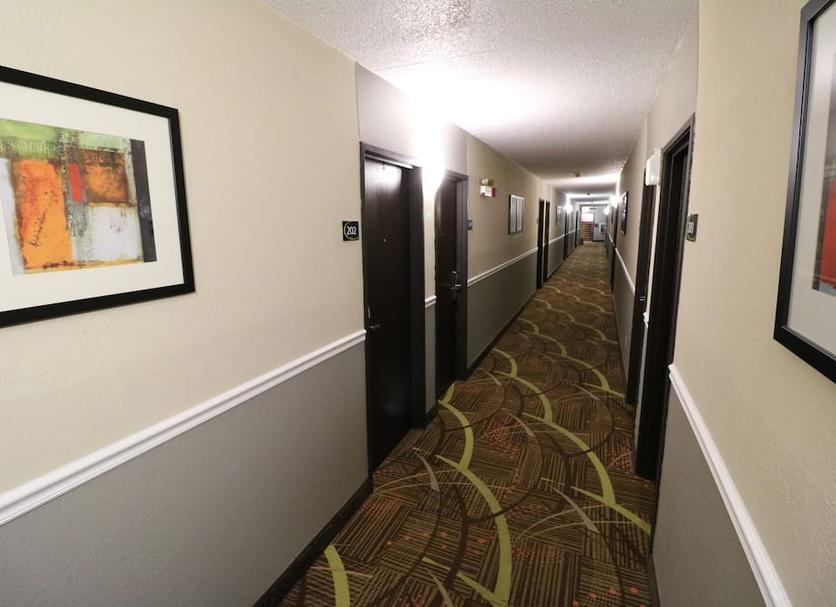 Hall Foto