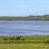 Annet