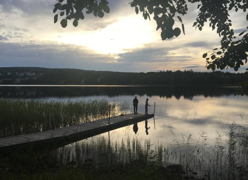 Utsikt Foto