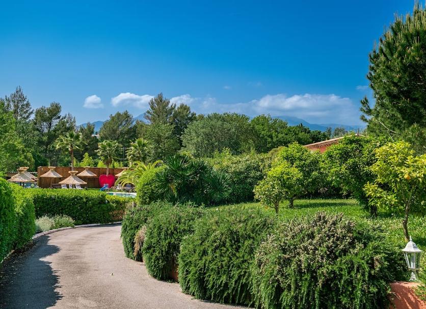Utsikt Foto