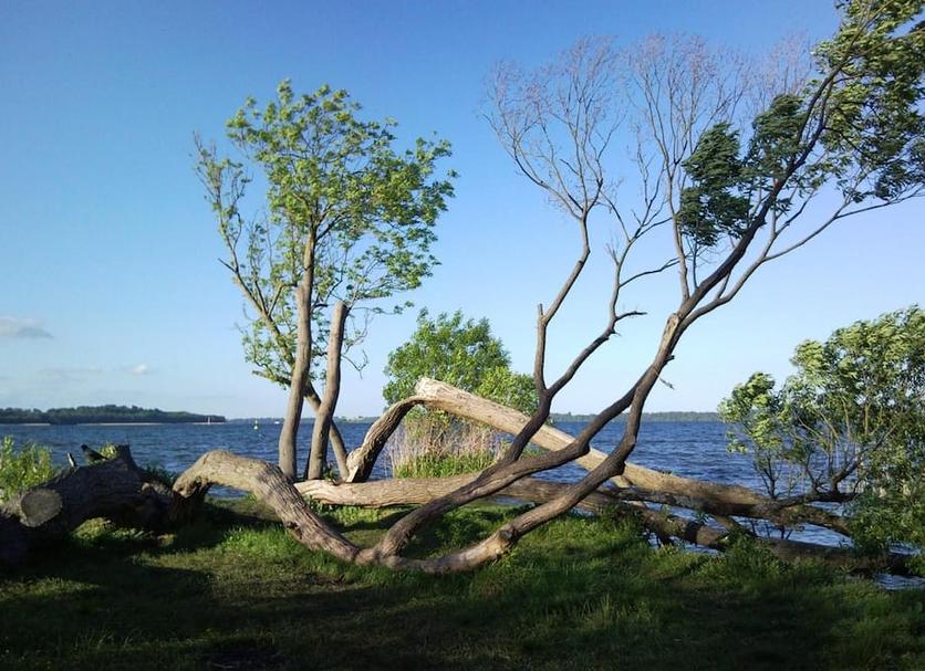 Utsikt Foto