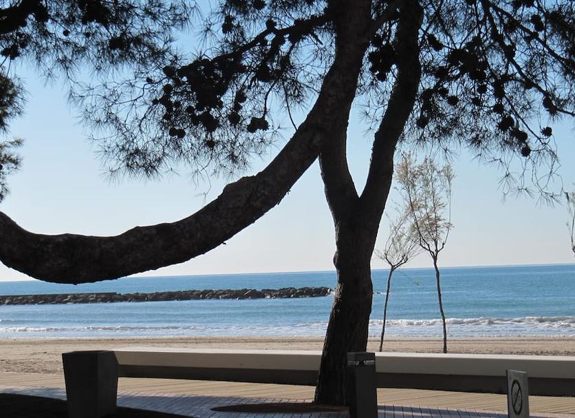 Strand Foto