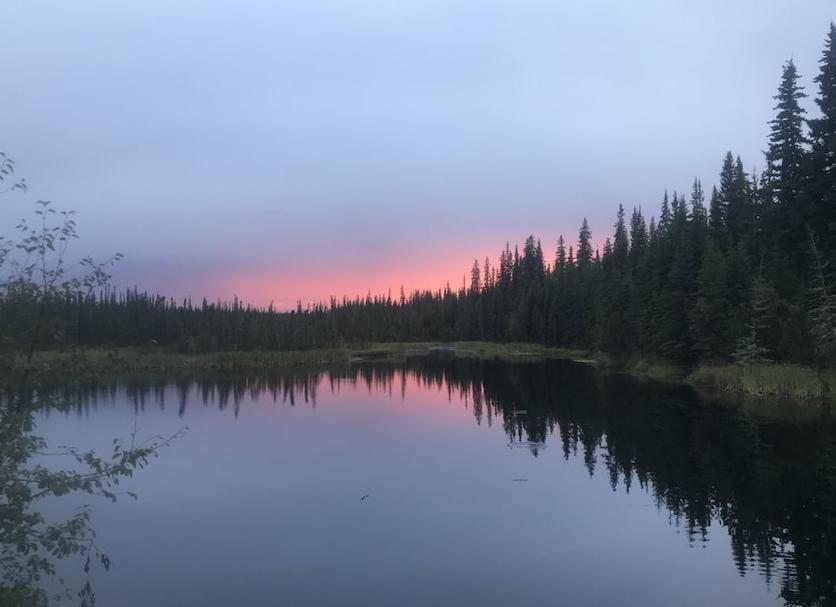 Utsikt Foto