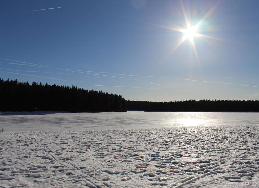 Bygning Foto