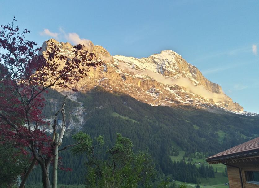 Utsikt Foto